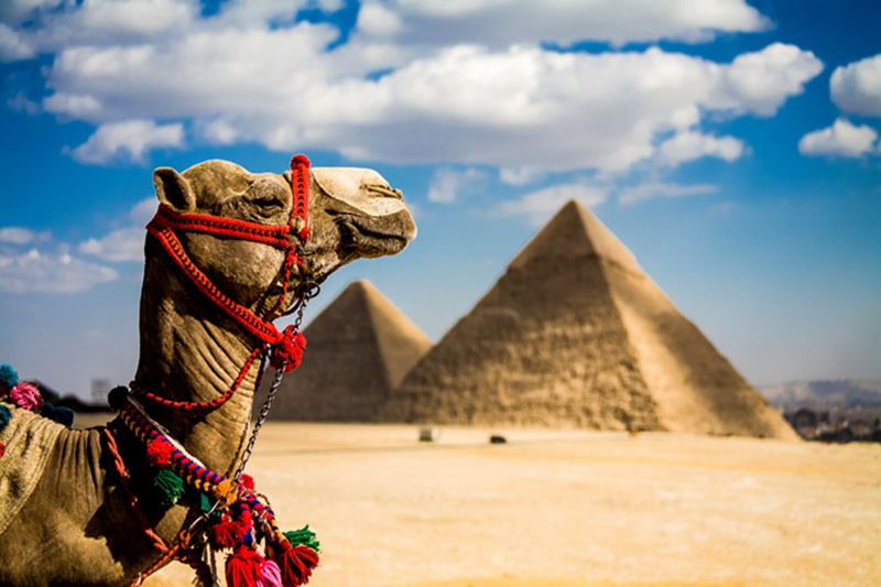 Egyiptom – Napsütés és Vörös-tenger